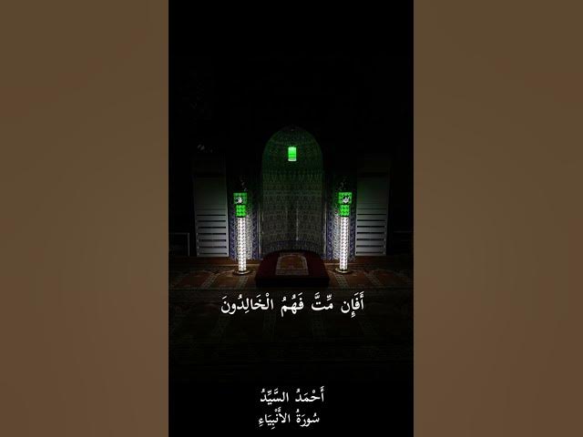 ماتيسر من سورة #الأنبياء episode artwork