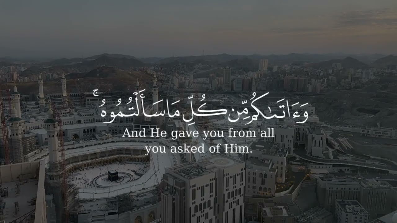 أواخر " سورة إبراهيم " الشيخ أحمد السيد. episode artwork