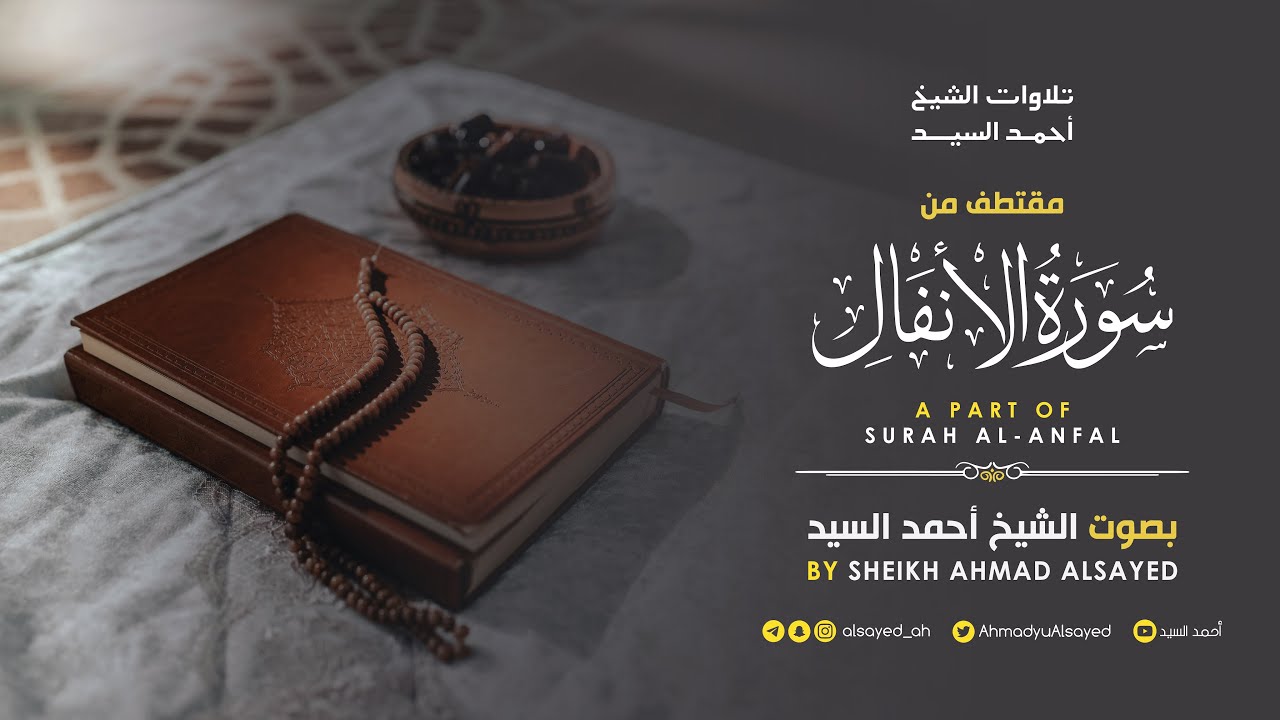 مقتطف من  سورة " الأنفال " الشيخ أحمد السيد episode artwork