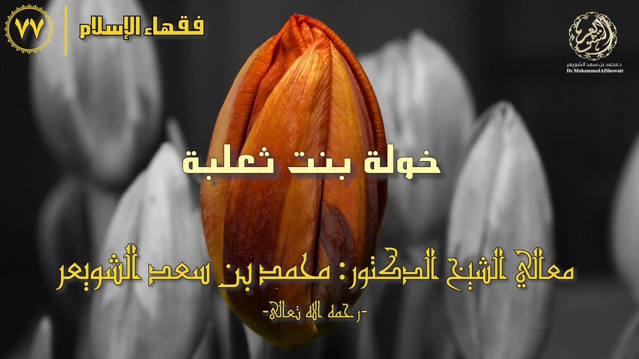 #فقهاء_الإسلام | ح77: خولة بنت ثعلبة episode artwork