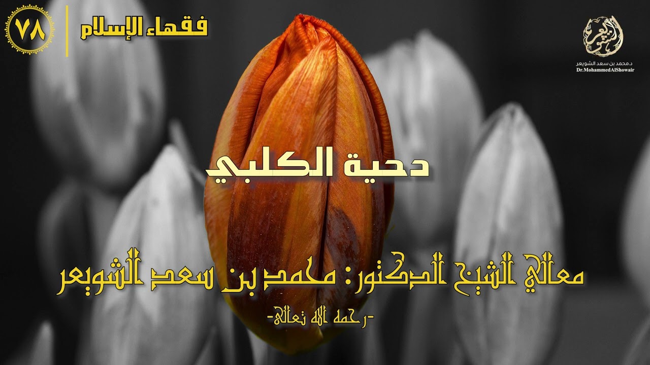 #فقهاء_الإسلام | ح78: دحية الكلبي episode artwork