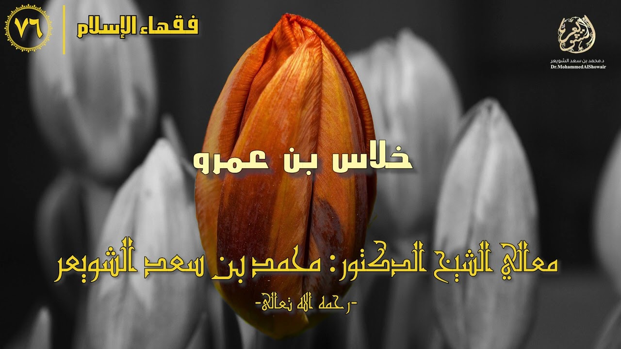 #فقهاء_الإسلام | ح76: خلاس بن عمرو episode artwork